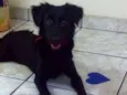 BELINHA