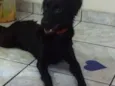 BELINHA