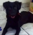 BELINHA