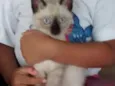 Frida