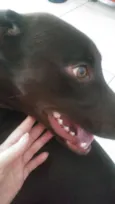Mel