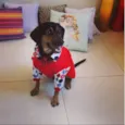 Zé