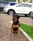 Zé