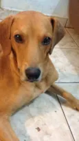 Tom