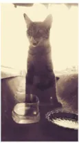 Félix.