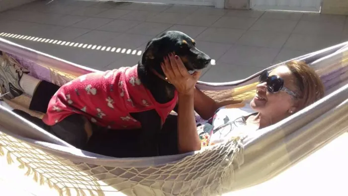 Cachorro ra a mistica idade 1 ano nome Bethoven
