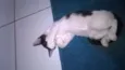 Sam