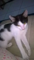 Sam