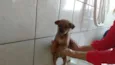 Sem Nome