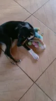 Lola