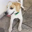 Billy 