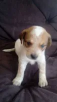 LUCY