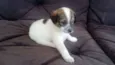 SUSY