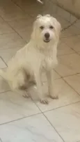 Bob