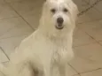 Bob