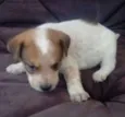 LUCY