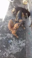 Não tem nome