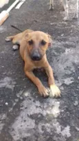 Não tem nome