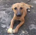 Não tem nome