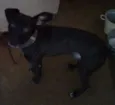 Eros
