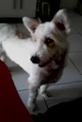 Hana