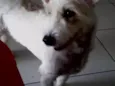 Hana