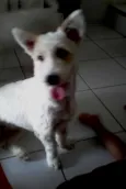 Hana