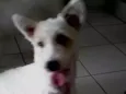 Hana