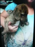 Theodore