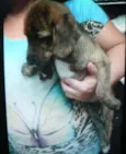 Theodore