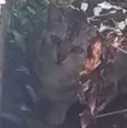 Desconhecido