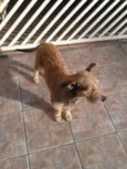 astro