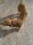 astro