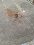 astro