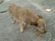 astro