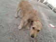 astro