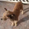 astro