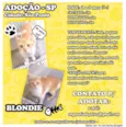 Blondie