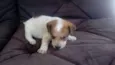 LUCY