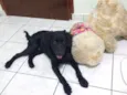 Jack