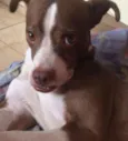 Faísca