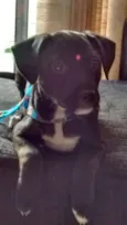 Lucy