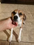 Nina