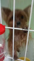 desconhecido