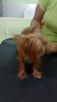 desconhecido
