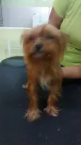 desconhecido
