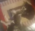 lulu mimi tata