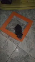 Paçoca
