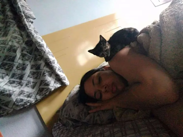 Gato ra a SRD idade 2 a 6 meses nome Paçoca