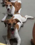 Teo, Mag e Fred 